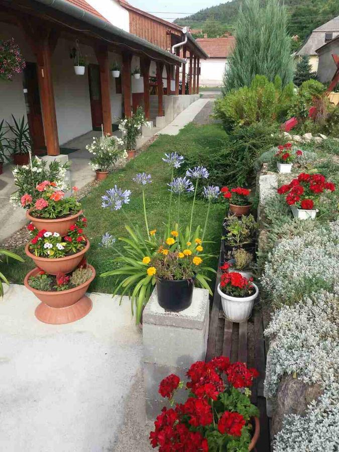 Sator-Hegy Vendeghaz Hotel Abaujszanto Exterior photo